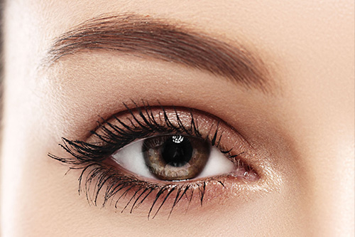 Wimpern & Augenbrauen